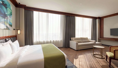 Suite, 1 King Bed with Sofa bed