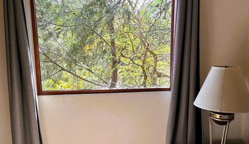 Panoramic Loft, Balcony, Garden View