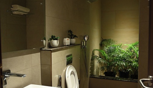 Deluxe Studio Suite
