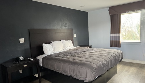 Standard Room, 1 King Bed, Non Smoking