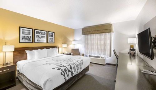 Standard Room, 1 King Bed, Non Smoking