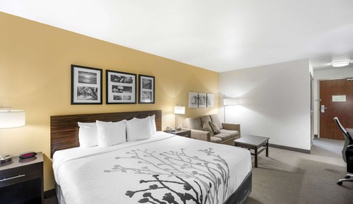 Suite, 1 King Bed with Sofa bed, Non Smoking