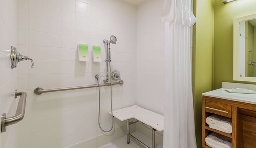 Studio, 1 King Bed, Accessible (Mobility & Hearing, Roll-in Shower)