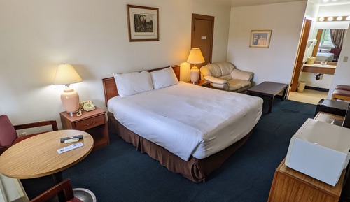 Standard Room, 1 King Bed, Refrigerator & Microwave