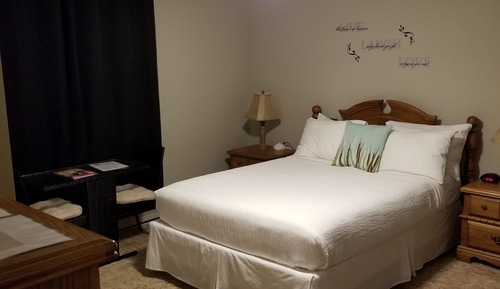 Room, 1 Queen Bed with Sofa bed, Lake View