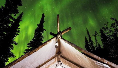 Spruce Tent
