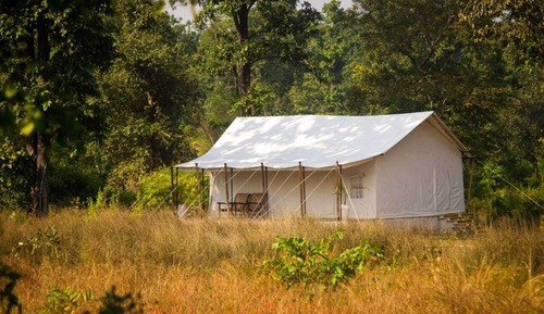 Premier Tent, Mountain View