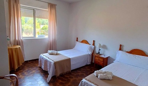 Basic Twin Room