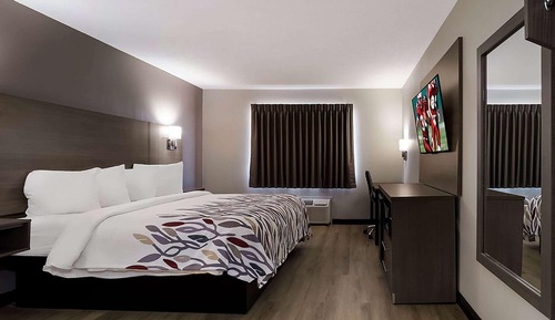 Room, 1 Queen Bed, Accessible, Non Smoking (Mobility, Roll-in Shower)