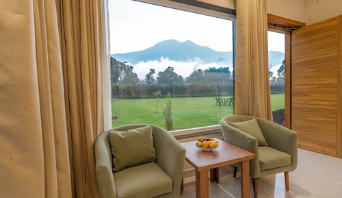 Luxury Suite, Mountain View