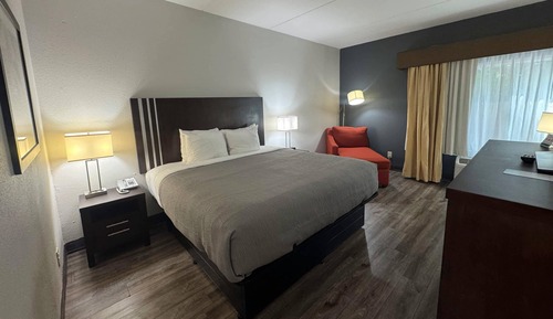 Standard Room, 1 King Bed, Non Smoking