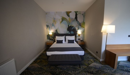Deluxe Room, 1 Double Bed