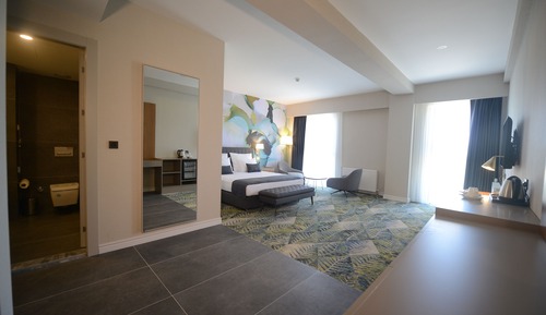 Room, 1 Double Bed with Sofa bed, Accessible