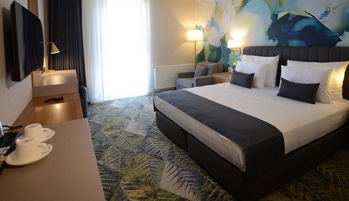 Standard Room, 1 Double Bed with Sofa bed