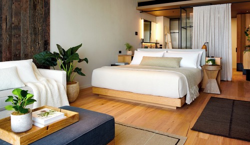 River King Room