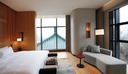 Luxury Studio Suite