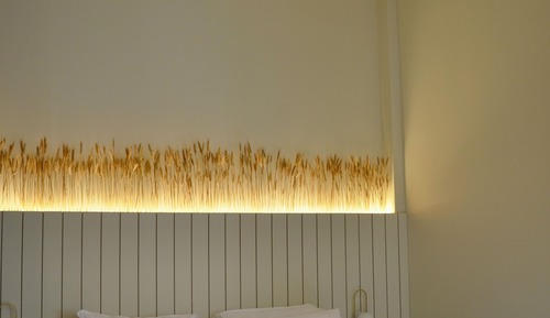 Exclusive Room, Courtyard View