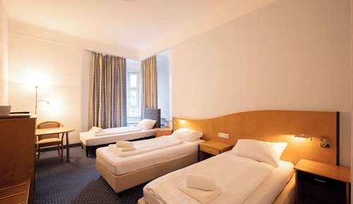Basic Triple Room