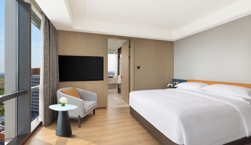 Room, 1 King Bed