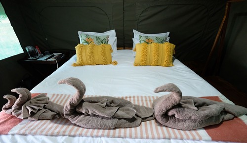 Comfort Tent5