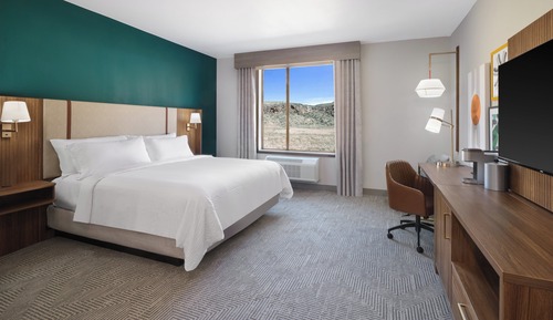 Suite, 1 King Bed, Roll-in Shower, Non Smoking (Communications, Roll-In Shower)