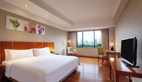 Executive Room, City View