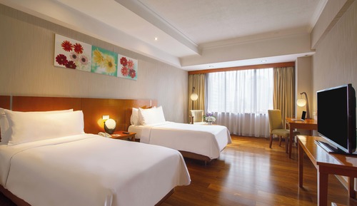 Deluxe Double or Twin Room, City View
