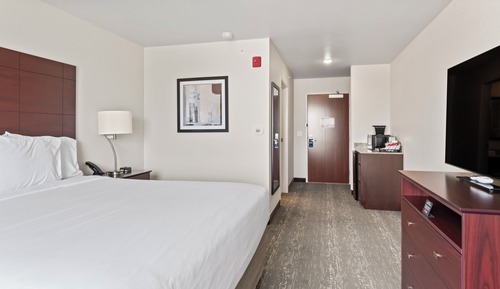 Room, 1 King Bed, Non Smoking (Single with Audible/Visual Alert)