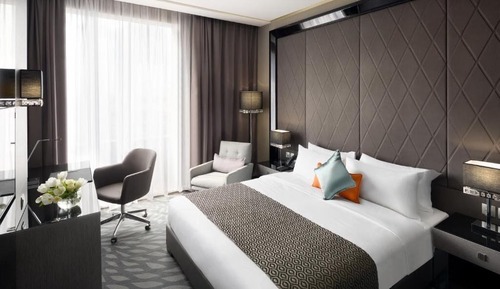 Standard Suite