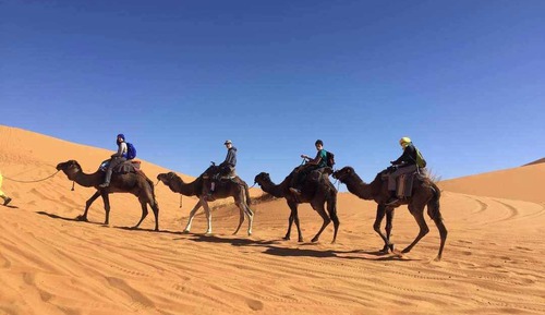 Double Room, Desert View