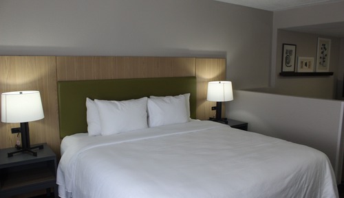 Room, 1 King Bed, Accessible, Non Smoking