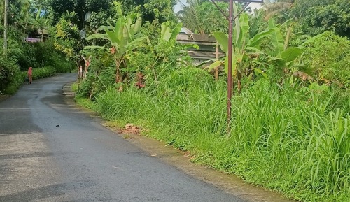 Romantic Bungalow
