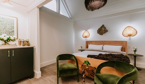 Deluxe Room (Pitcher Plant)