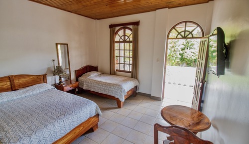 Premium Room