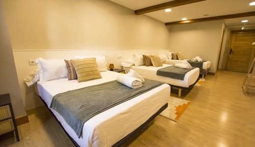 Deluxe Triple Room