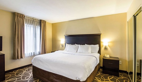 Suite, 1 King Bed with Sofa bed, Accessible, Non Smoking