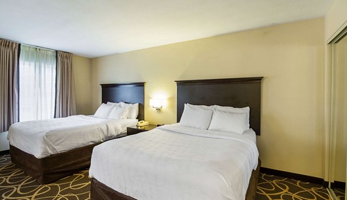 Executive Suite, 2 Queen Beds with Kitchen and Sofabed, Non Smoking (Extra Spacious!)