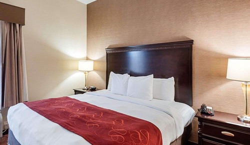 Studio Suite, 1 King Bed with Sofa bed, Non Smoking