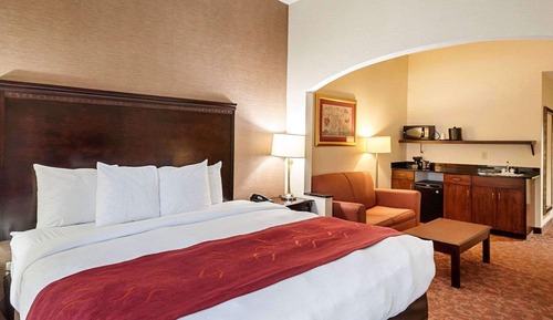 Business Suite, 1 King Bed with Sofa bed, Accessible, Non Smoking
