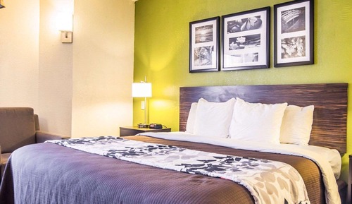 Standard Room, 1 King Bed, Non Smoking