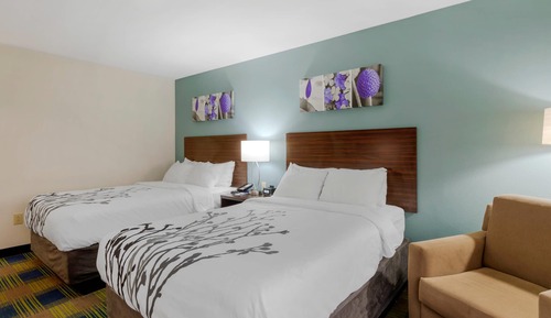 Standard Double Room, 2 Double Beds, Non Smoking
