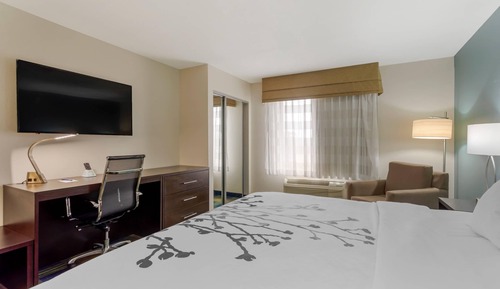 Room, 1 King Bed, Accessible, Non Smoking