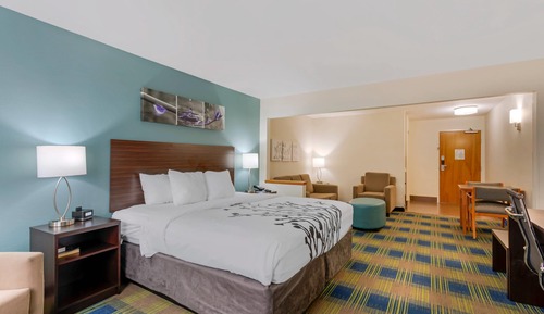 Suite, 1 King Bed with Sofa bed, Non Smoking
