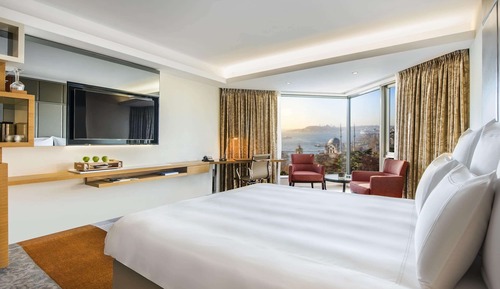 Executive Suite, 1 King Bed with Sofa bed, Terrace