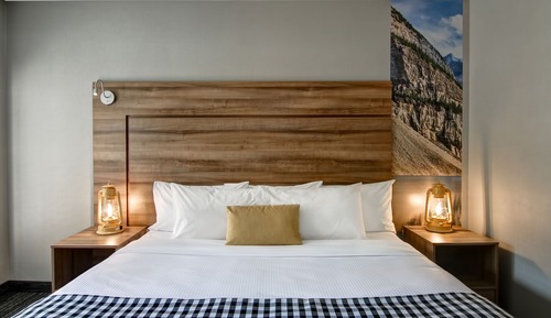 Room, 1 King Bed