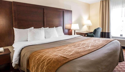 Standard Room, 1 King Bed, Non Smoking