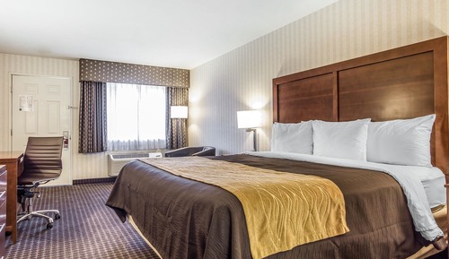 Standard Room, 1 King Bed