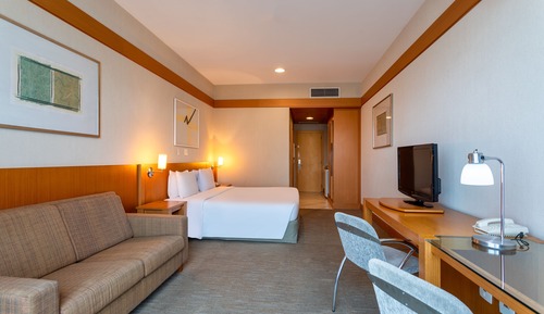Superior Room, 1 Queen Bed, Non Smoking