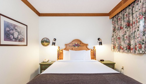 Room, 1 Queen Bed (Dolomite)