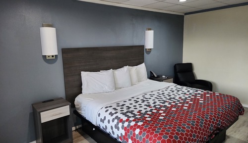 Room, 1 King Bed, Non Smoking
